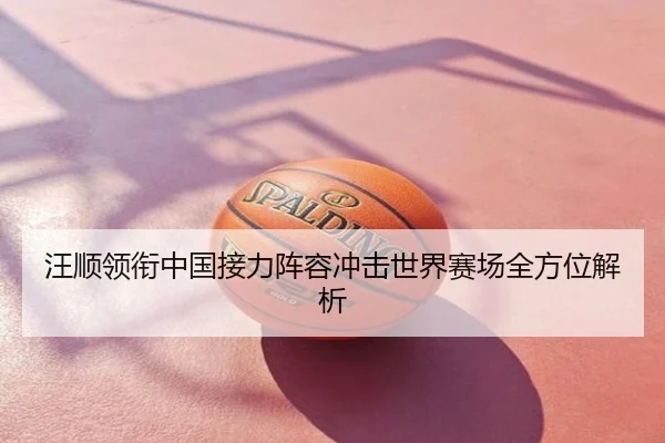 汪顺领衔中国接力阵容冲击世界赛场全方位解析