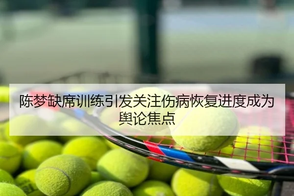陈梦缺席训练引发关注伤病恢复进度成为舆论焦点